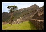 Machu Piccu 057